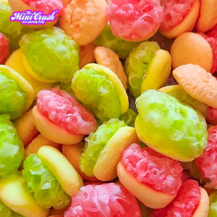 Freeze Dried Crunchy Burger suppliers