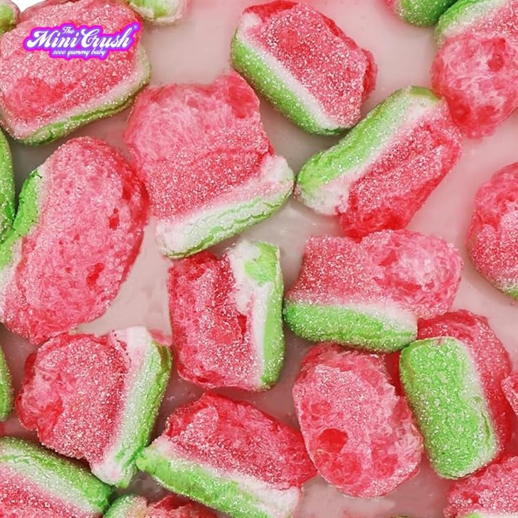Freeze Dried Crunchy Watermelon suppliers