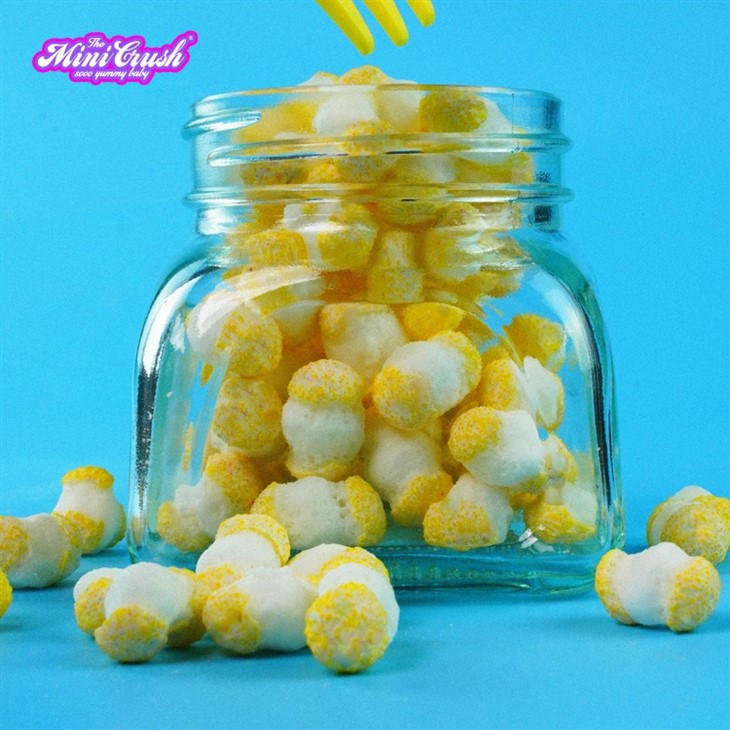 Freeze Dried Sour Lemon Crush suppliers
